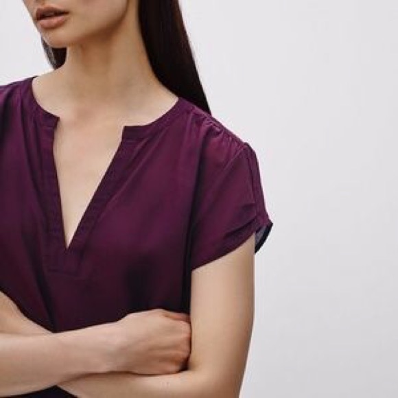 Aritzia Tops - Aritzia Babaton w/ Silk Phillip T-Shirt